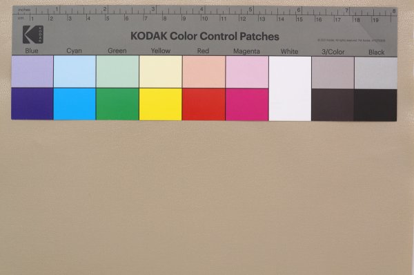 画像4: 合皮 生地 薄手：エコノミー　ベージュ (4)