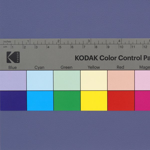 カラーガイドとの比較