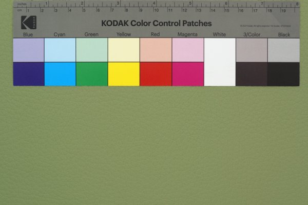 画像2: 合皮 生地 シボ大 若葉色（ピスタチオグリーン） (2)