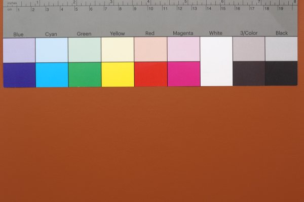 画像3: 合皮 生地 ヌメ革　茶色（キャメルブラウン） (3)