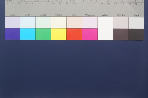 画像3: 合皮 生地 ヌメ革 紺色(ネイビー) (3)