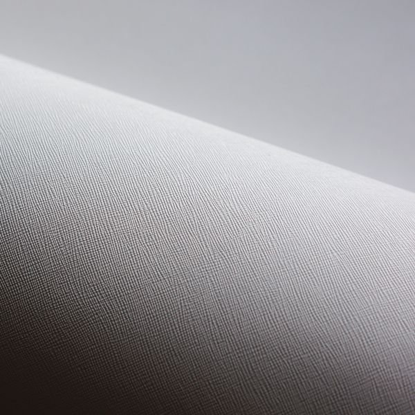 画像3: 合皮 生地 サフィアーノレザー調　白色（ホワイト） (3)