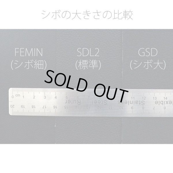 シボの大きさの比較