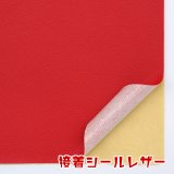 【Foil】偽皮操り/Dermoplasm[LGN]日本語 81FmidWIcUL._UF1000,1000_QL80_.jpg