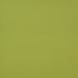 画像1: 合皮 生地 ソフトPUレザー 黄緑色（ライトグリーン） (1)