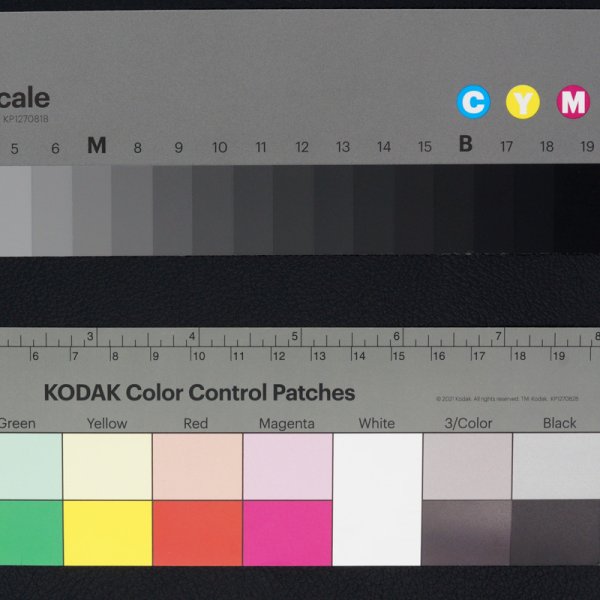 画像3: 合皮 生地 プログレード　黒色（ブラック）　 (3)