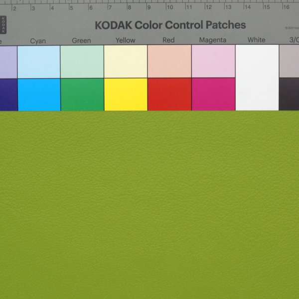 画像4: 合皮 生地 プログレード　黄緑色（ライトグリーン） (4)