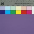 画像4: 合皮 生地 プログレード　紫色（パープル） (4)