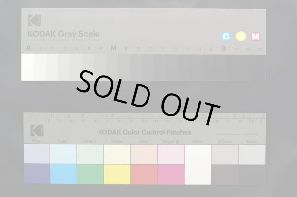 画像2: 合皮 2wayウルトラストレッチ 生地 黒色(ブラック) (2)