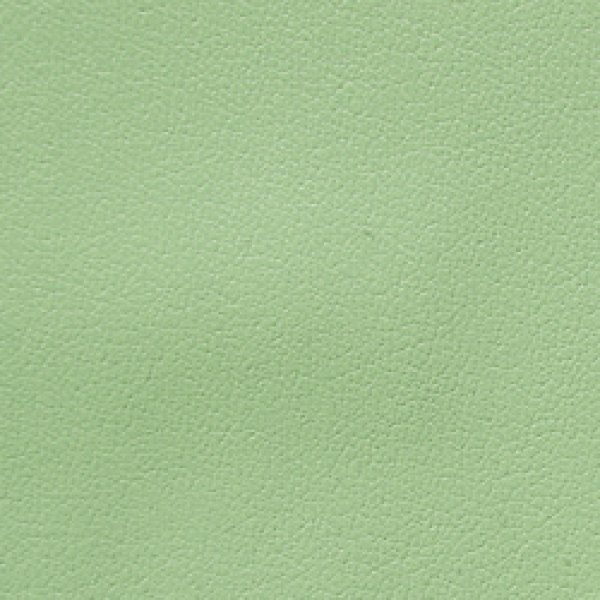 画像1: 合皮 ストレッチ 生地 薄緑色（メロングリーン） (1)