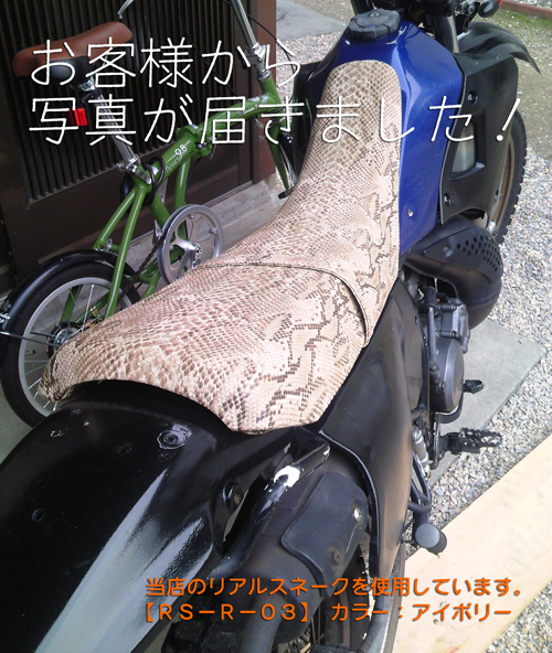 バイクシートヘビ柄